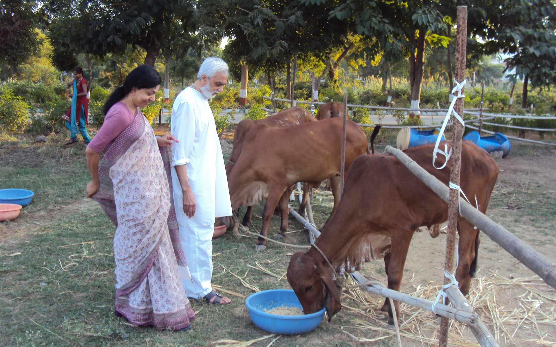 Shri Dhyanyogiji Welfare Foundation 9